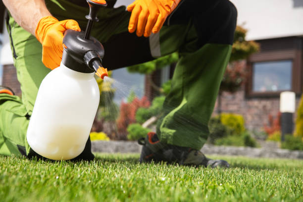 Best Local Pest Control Services  in Covington, LA