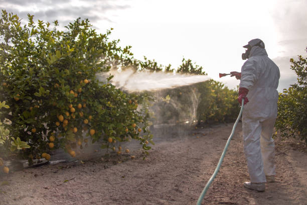 Reliable Covington, LA Pest Control Solutions