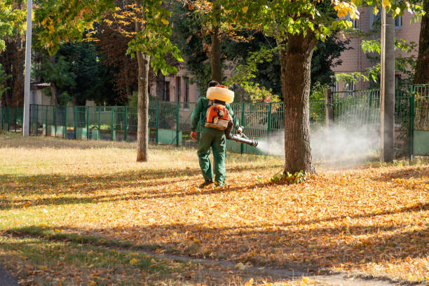 Best Mosquito Control Services  in Covington, LA